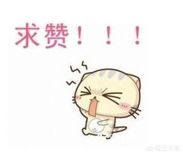 神烦狗doge卫衣:在淘宝上买东西购物应该注意哪些小细节？
