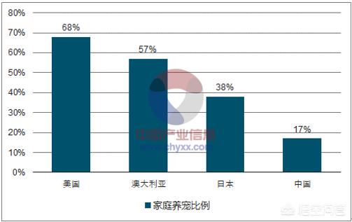 宠物产业研究报告:重庆周边城市的宠物行业发展情况如何，有哪些可以提升的渠道？