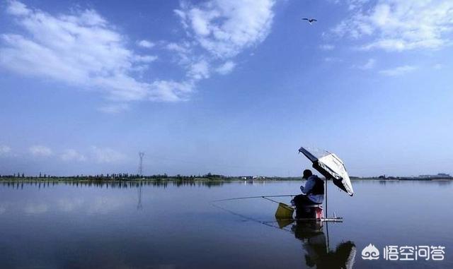 深水鱼图片及名称:请教野钓，深水如何钓鱼？