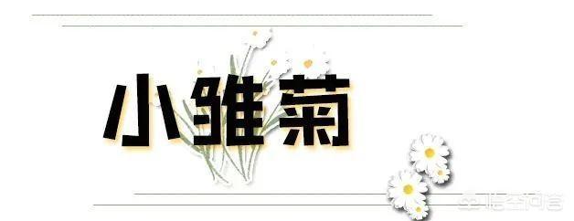 锁骨放硬币:你认为今年最烂大街的穿搭是什么样式的