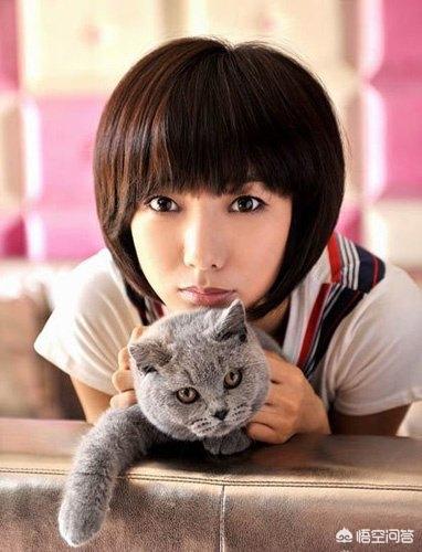 白百何王珞丹对比照:外科风云白百合，急诊科医生王珞丹，谁演的好？