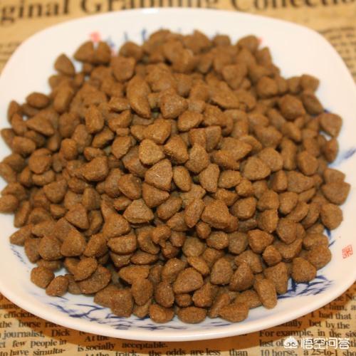 自制简单狗粮的制作方法:不给狗吃狗粮吃自制可以吗？会影响健康吗？