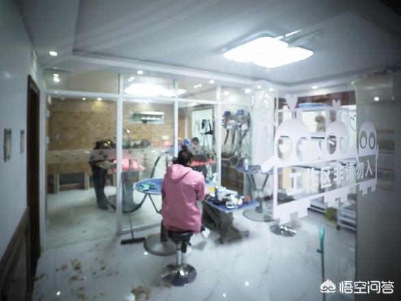 经营宠物医院游戏大全:宠物医院在经营常见问题？