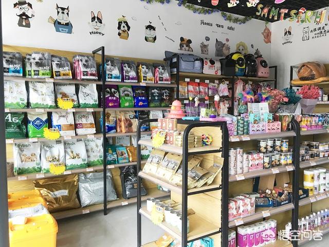 韩国宠物店装修图:宠物店怎么装修才可以带来更多顾客？