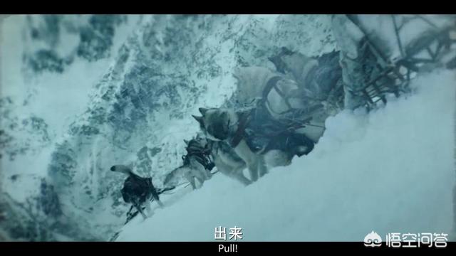 一只狗成为雪橇犬的电影:电影《多哥》中，冰层为什么会裂？