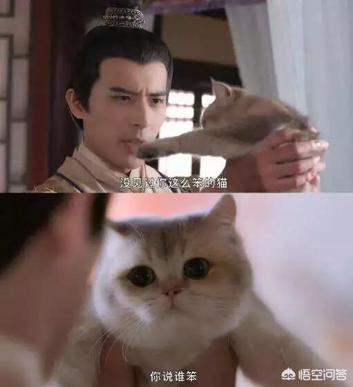 凌氏惠平:你觉得《奈何boss要娶我》第二部上头么？