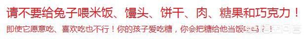 2020年疫情过去后想养兔子,能不能给点宝贵的意见？