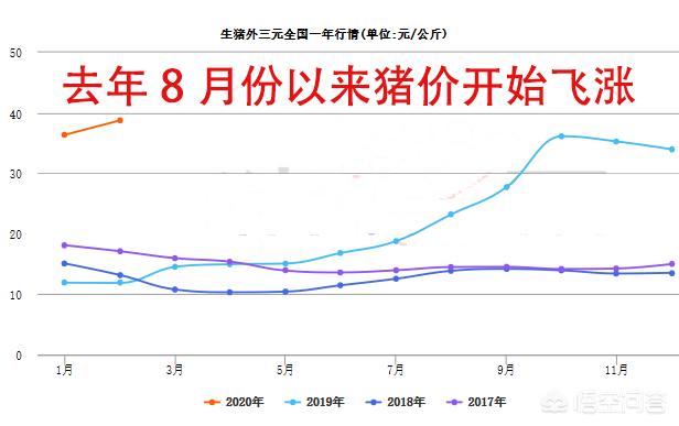 2020西施犬价格行情:有没有价格在1000左右的中小型犬推荐？