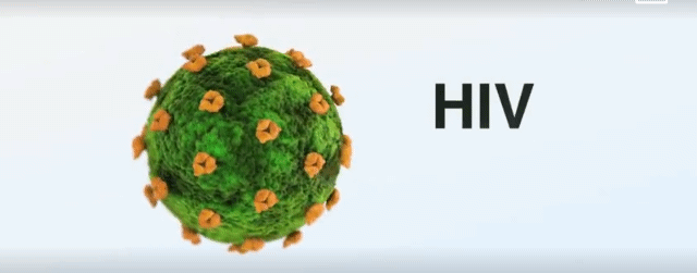 寄生虫感染的免疫:寄生虫感染的免疫类型 hiv主要侵害哪种细胞？主要有哪些症状？