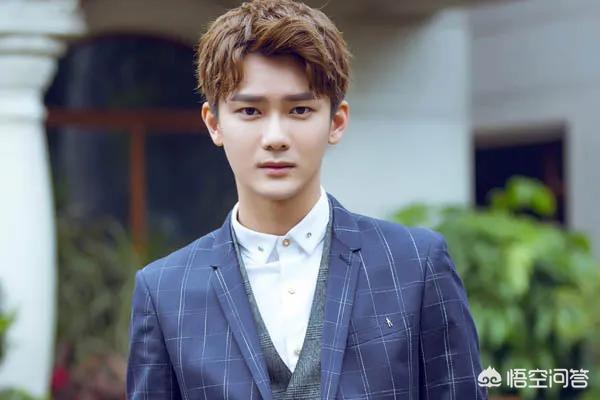 王渊慧:如何评价熊梓淇主演的电视剧《爱情的开关》？