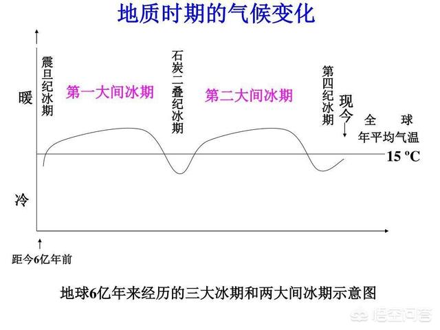 卵生哺乳动物:既能生蛋，又能生崽的是什么动物？地球上有吗？