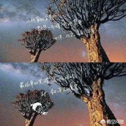 宁静机场跳舞:一个人累了想重归田园，过宁静的日子又不想回家乡，有好去处么