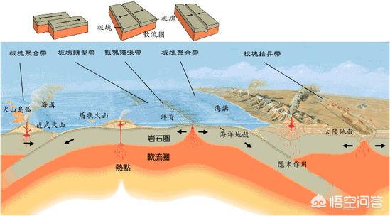 阳江大乌鱼图片:阳江大乌鱼饭做法 广东上千条鱼跳上岸村民担心，是地震前兆吗？