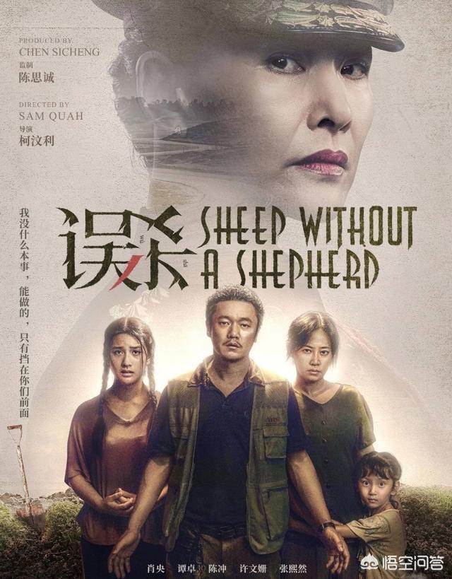 全民目击结局:看完电影《误杀》后的感受是什么
