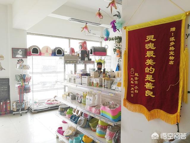 北京宠物店市场分析:北京开一家宠物店赚钱吗？