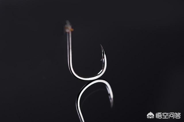 霸王刺皮鱼钓鱼熟练:霸王刺皮鱼在哪里钓 为什么有的钓鱼老手不喜欢用倒刺钩，而一些新手基本都用？