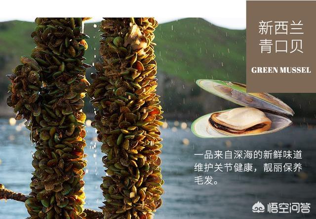 贵族狗粮好不好:狗粮是不是价格越贵质量就越好？