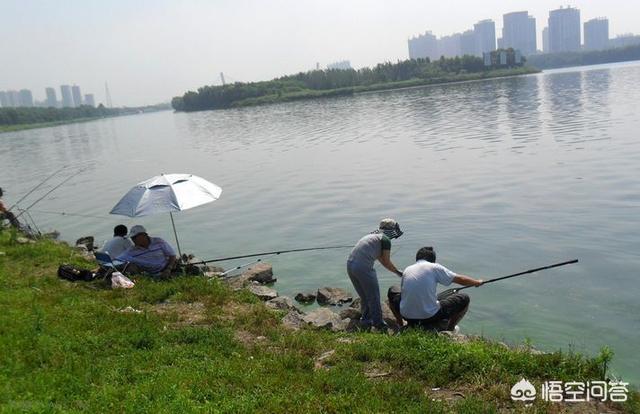 新手入坑推荐一下什么级别钓鱼竿？