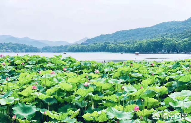 福州市鼓楼区伽菲猫咖啡酒吧:12月的时候要去杭州玩4、5天左右，有什么推荐吗？