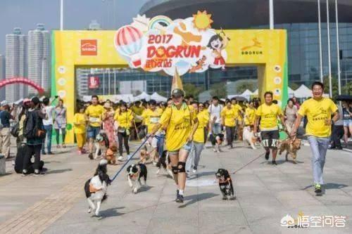 优爵宠物食品如何加盟:开一家宠物连锁店怎么样？