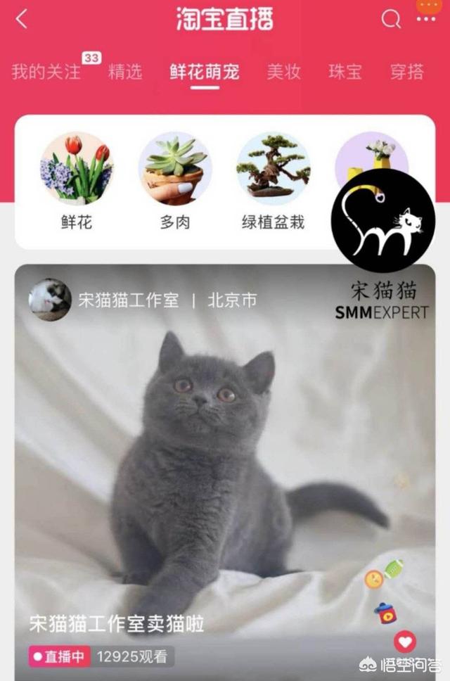 优爵宠物食品如何加盟:开一家宠物连锁店怎么样？