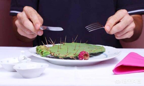 沙漠什么动物吃仙人掌:骆驼爱吃带刺的仙人掌，但是为何不得口腔溃疡呢？