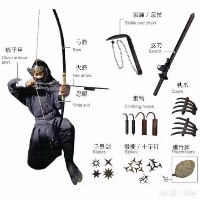 养狗十戒 日本:日本忍者究竟有哪些秘密？