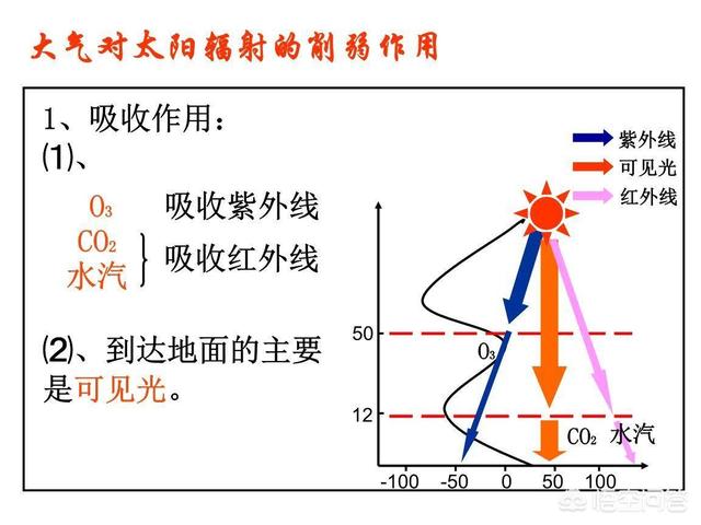 头条问答 为什么食肉动物繁殖率都很低 食草动物繁殖率这么高 优美生态环境保卫者的回答 0赞