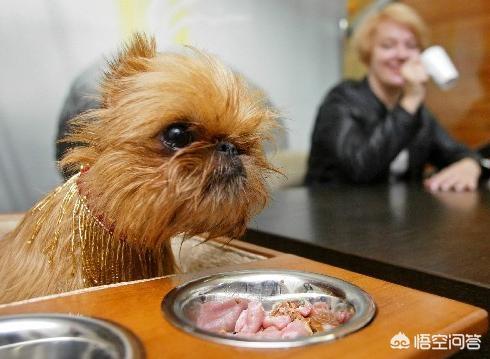 带链铐的美女犬奴:深夜街头遇到醉酒女倒在路边，你会怎么做？