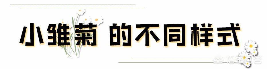 锁骨放硬币:你认为今年最烂大街的穿搭是什么样式的