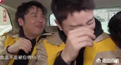 罗志祥退出极限挑战:小猪罗志祥为什么被除名？