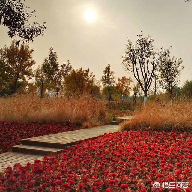 怎么从<a href=https://maguai.com/list/55-0-0.html target=_blank class=infotextkey>生活</a>中发现或者创造出小区域摄影美景你有技巧可分享吗
