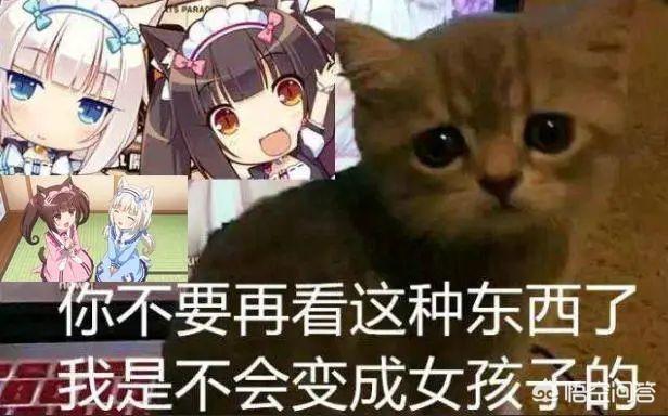 冈田纯一:如何评价动画剧作家冈田麿里