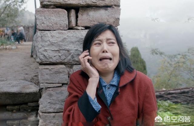 房似锦原型:电视剧《安家》房似锦不断被潘贵雨剥削，这样的剧情是否太夸张
