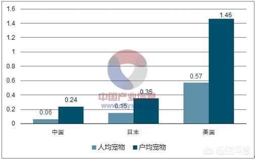 宠物产业研究报告:重庆周边城市的宠物行业发展情况如何，有哪些可以提升的渠道？