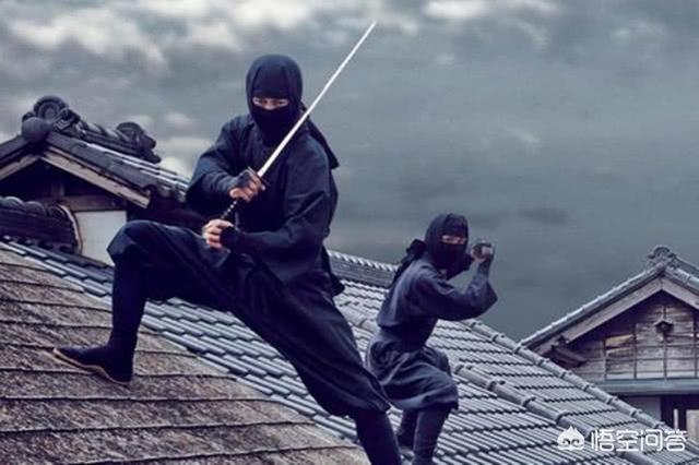 养狗十戒 日本:日本忍者究竟有哪些秘密？