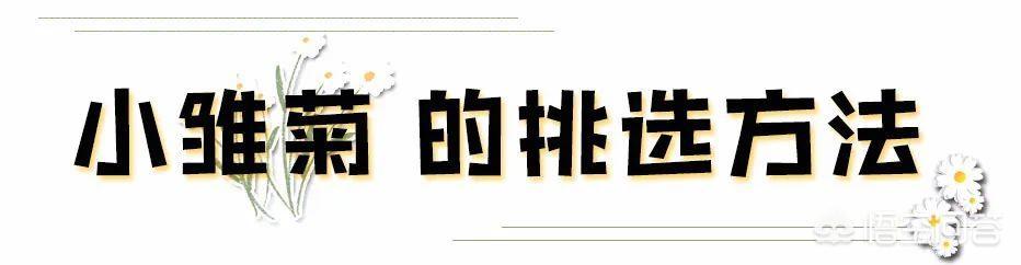 锁骨放硬币:你认为今年最烂大街的穿搭是什么样式的