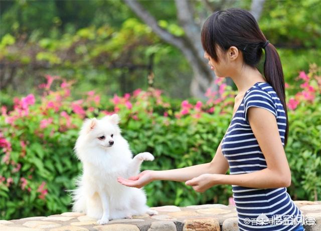 我做女犬的开心日子无弹窗:把狗狗养得很好的女生，你觉得她们有着怎么样的美好品质？