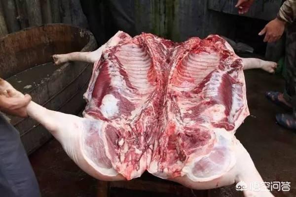 人死后为什么很快发臭,而猪肉羊肉不会那么快？