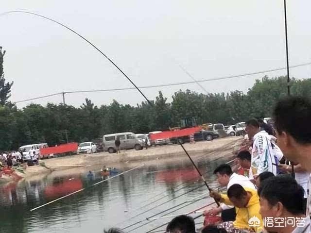 那些黑坑鱼竿比较好？
