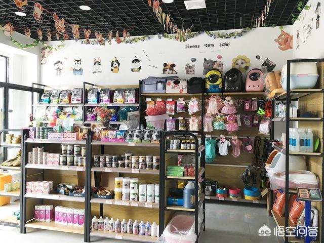 北京宠物店市场分析:开个中小型宠物超市需要多少钱？