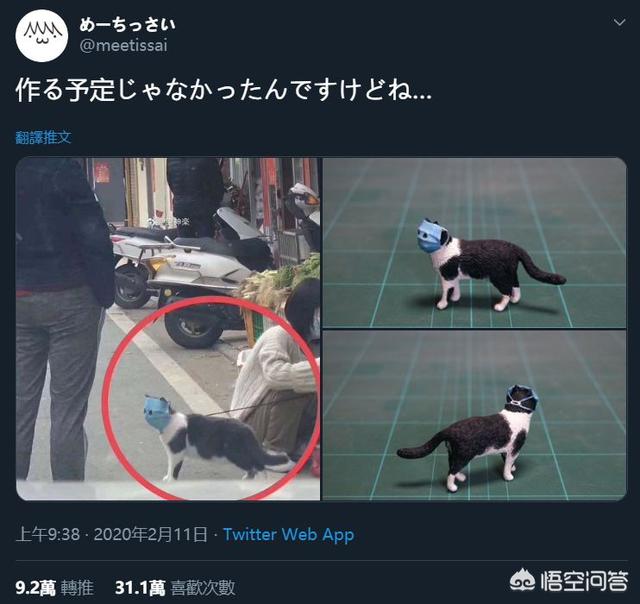 日本截尾猫图片:日本梗图大神还原面罩猫是怎么回事？你怎么看？