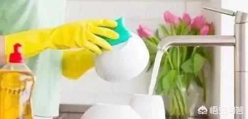 宠物餐具怎么消毒:餐具消毒需要注意哪些事项？