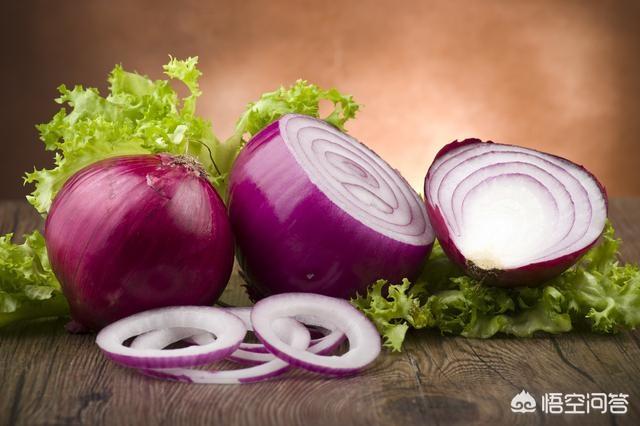 六种狗狗不能吃的食物:狗狗除了巧克力，还有什么东西不能吃，吃了会怎么样？