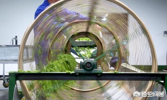 袋泡茶制作工艺流程范文,普洱茶的生茶制作工艺是什么？如何品鉴？