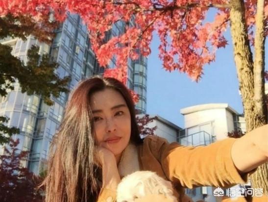 林建岳和王祖贤:王祖贤和林青霞两个女神之间有过什么故事吗