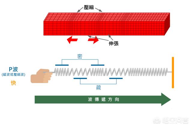 阳江大乌鱼图片:阳江大乌鱼饭做法 广东上千条鱼跳上岸村民担心，是地震前兆吗？