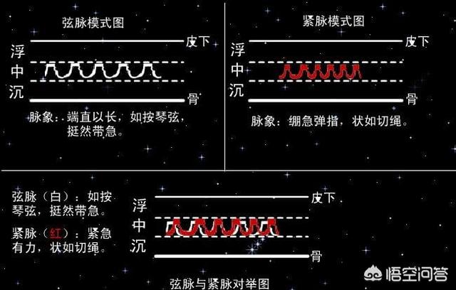 中医28种脉相是如何对应一万多种疾病的?-惠修网