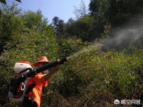 沙漠蝗虫总袭击印度，印度和巴基斯坦出现蝗虫灾难，有什么方法可以阻止，比如拉电网