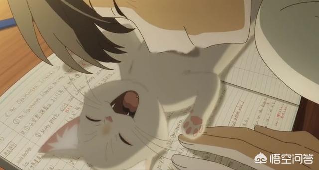 冈田纯一:如何评价动画剧作家冈田麿里